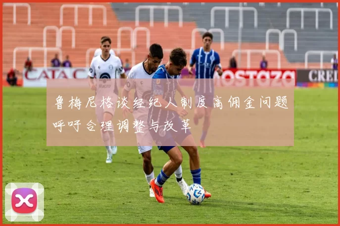 鲁梅尼格谈经纪人制度高佣金问题呼吁合理调整与改革